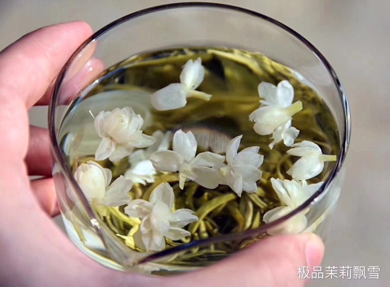 茉莉飘雪茉莉花茶广西横县中华茉莉园花茶直销
