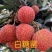 白糖罂