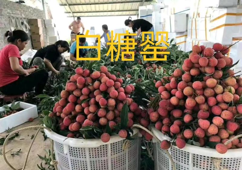 白糖罂