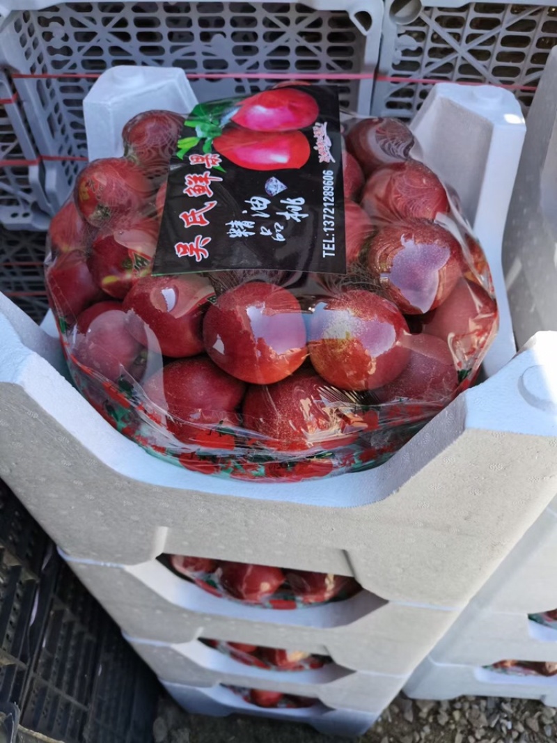 辽宁油桃毛桃代购