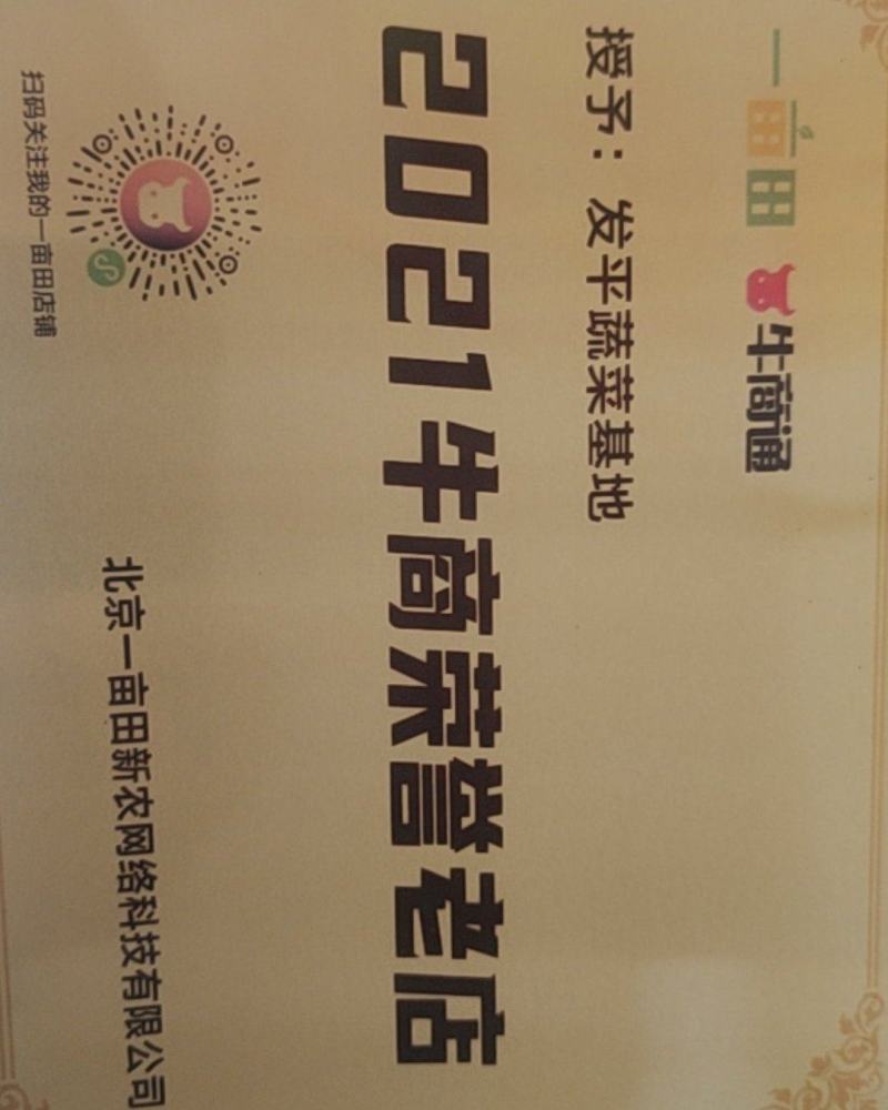 【精品上市中】河南西瓜美都西瓜甘甜可口皮薄肉多