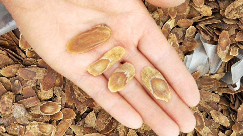 原产地大量批发无糖无硫足干优质红参花纹片质优价廉量大从优