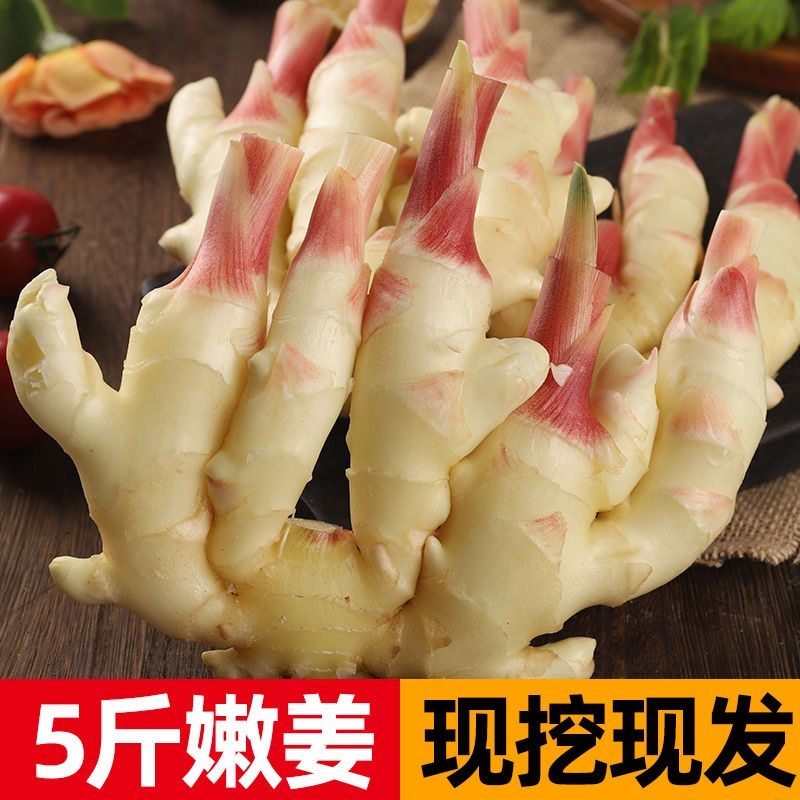 一件代发红芽姜，红芽嫩姜，仔姜，鲜姜核心产区发货