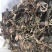 小叶野生金线莲产地直发，量大从优，欢迎咨询！！！