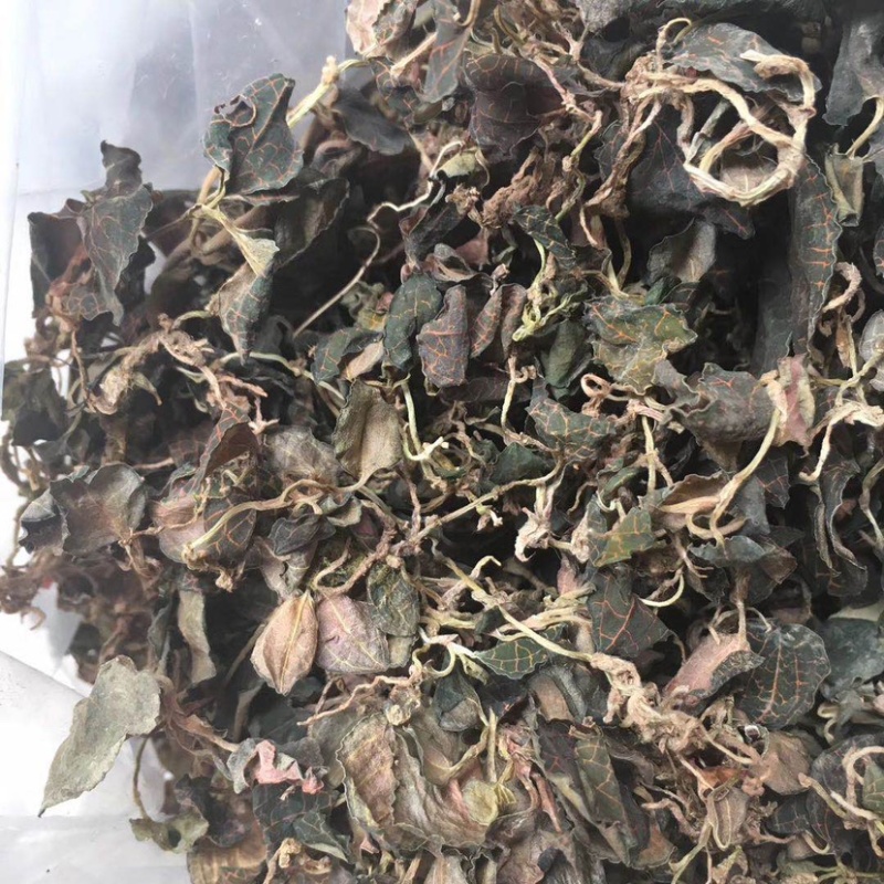 小叶野生金线莲产地直发，量大从优，欢迎咨询！！！