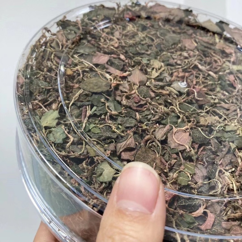 小叶野生金线莲产地直发，量大从优，欢迎咨询！！！