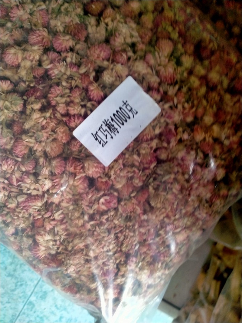 红巧梅！产地大货直销！质量有保证！假一赔十！纯正品！