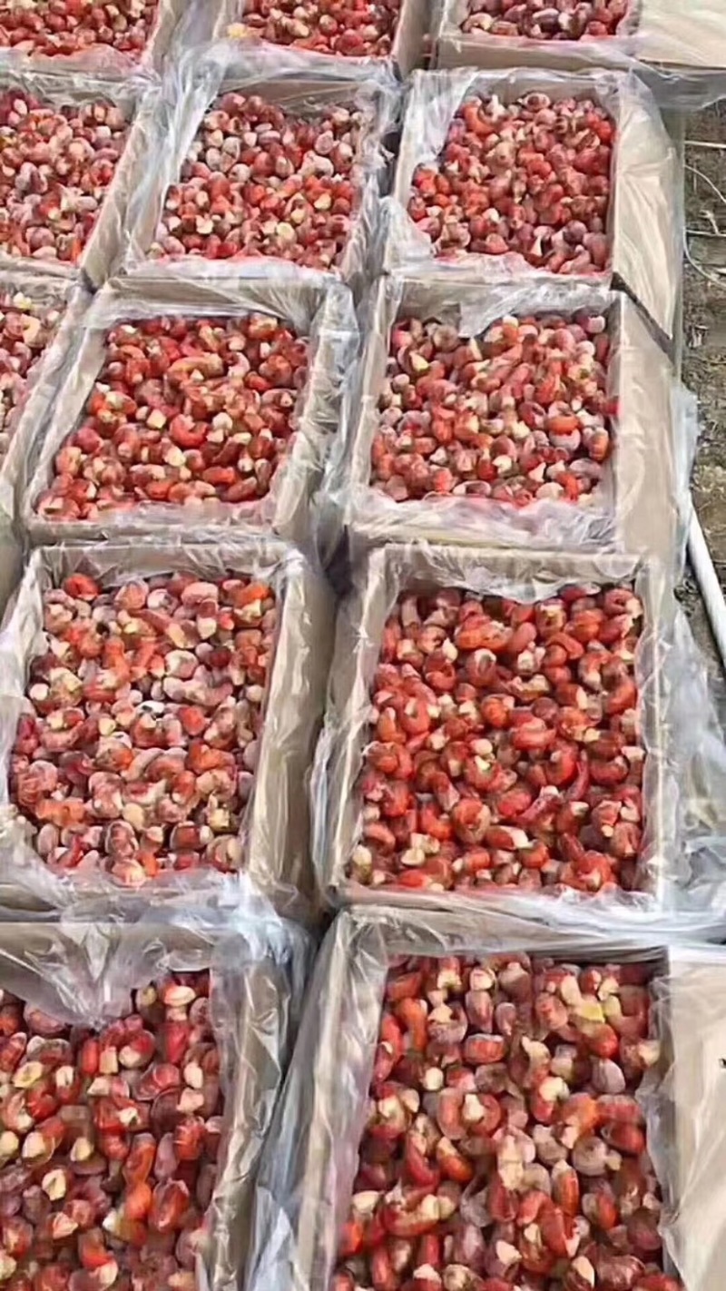 龙虾尾，新鲜现剥，酒店专供，大量有货，欢迎订购