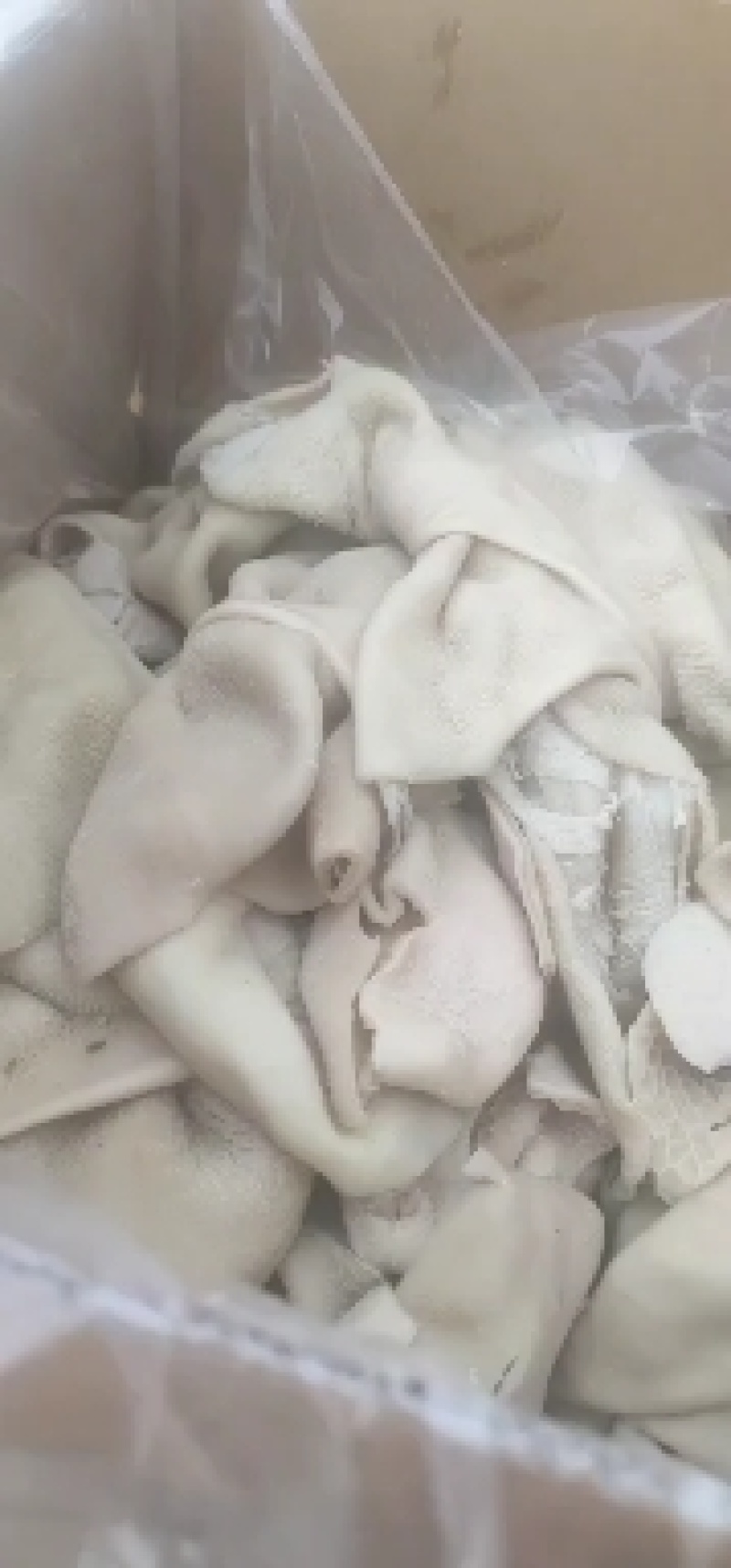 羊杂