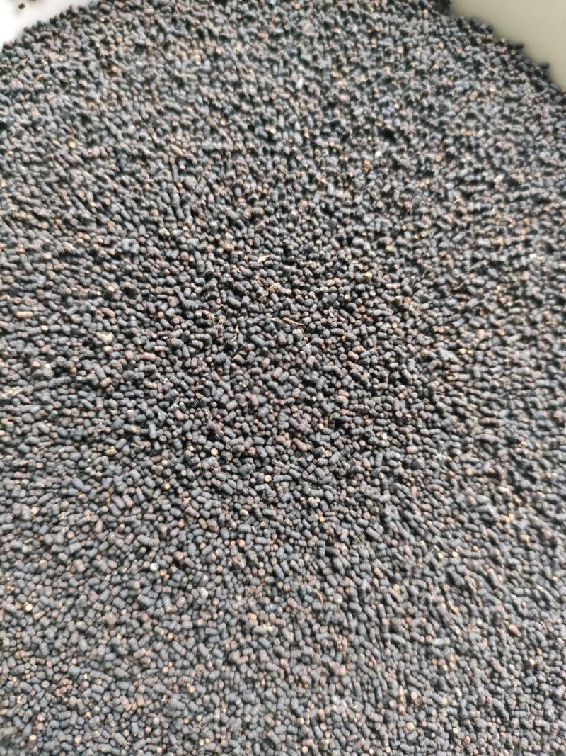 虫茶养身茶2015年虫茶厂家直销量大从优