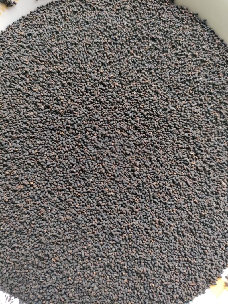 虫茶养身茶2015年虫茶厂家直销量大从优