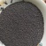 虫茶养身茶2015年虫茶厂家直销量大从优