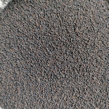 虫茶养身茶2015年虫茶厂家直销量大从优