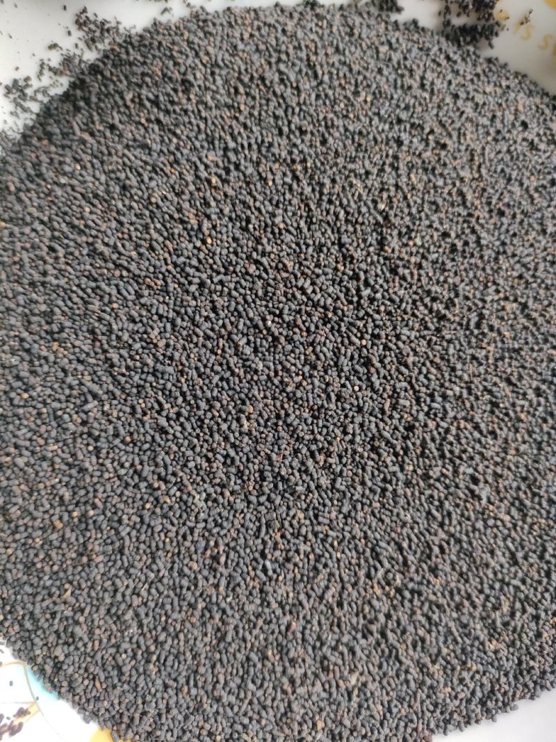 虫茶养身茶2015年虫茶厂家直销量大从优