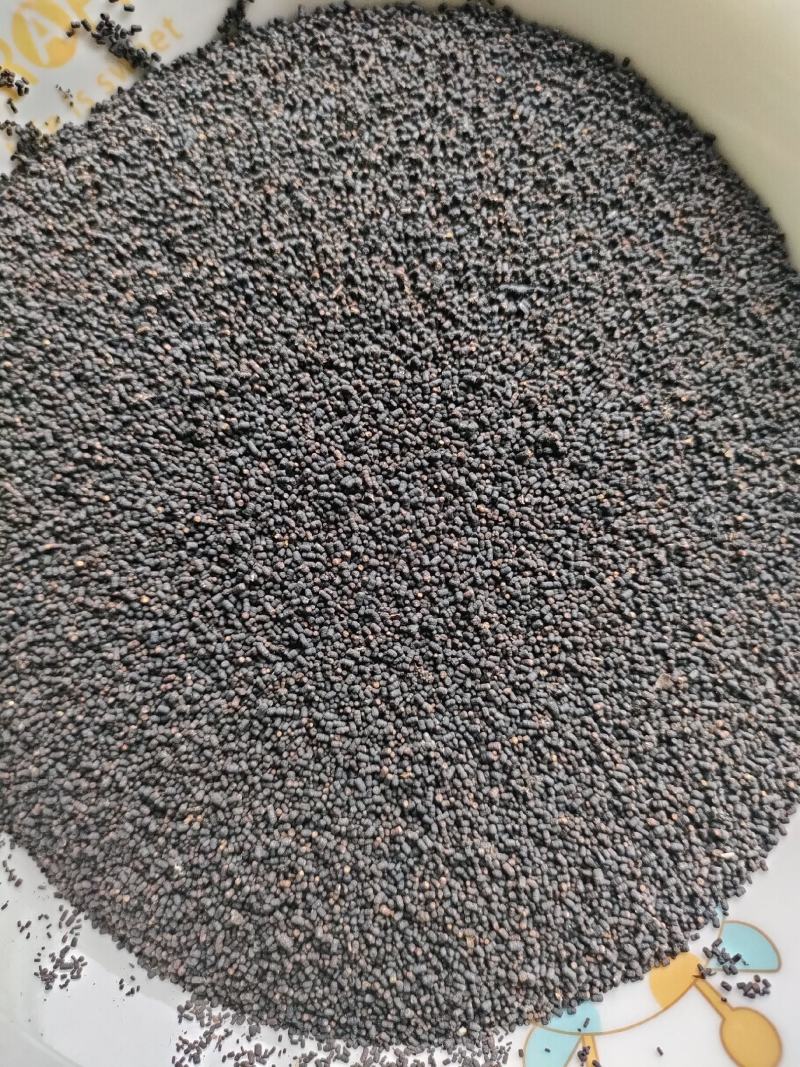 虫茶养身茶2015年虫茶厂家直销量大从优