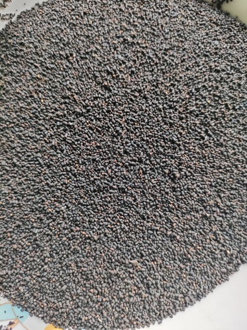 虫茶养身茶2015年虫茶厂家直销量大从优