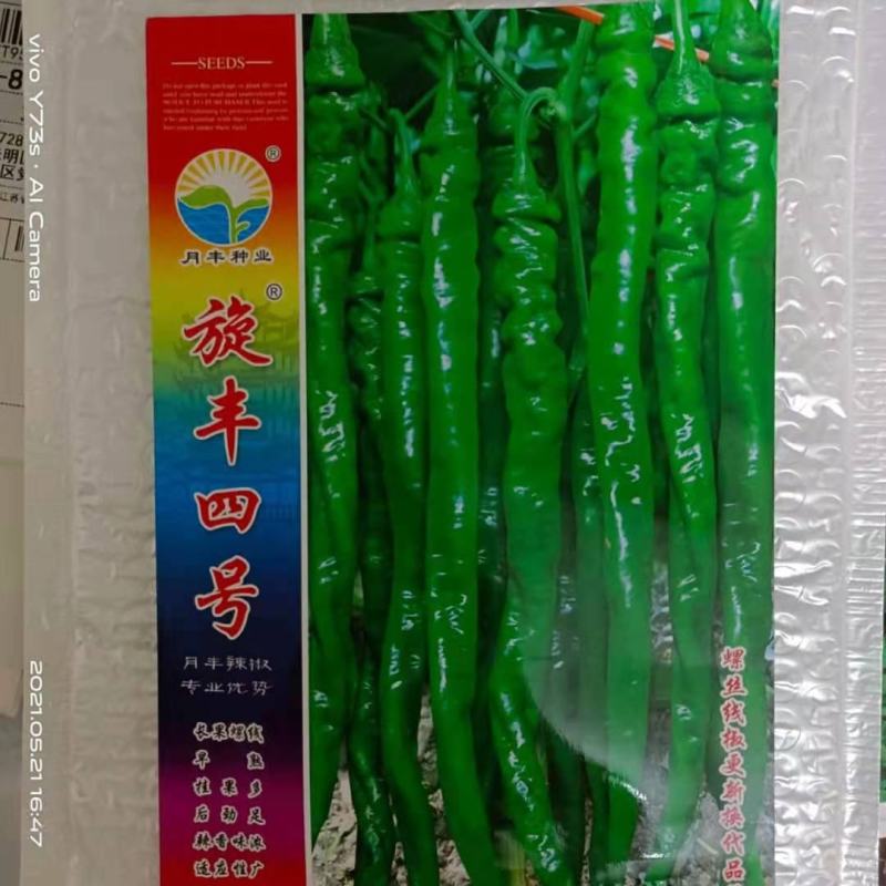 月丰螺丝线种子一代杂交品种基地种植种子