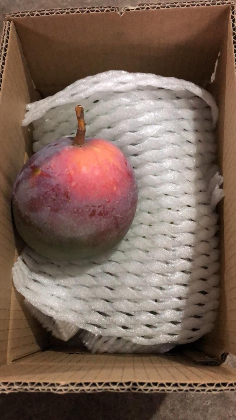 【一件代发】云南苹果芒5斤8斤现货包邮平台供应