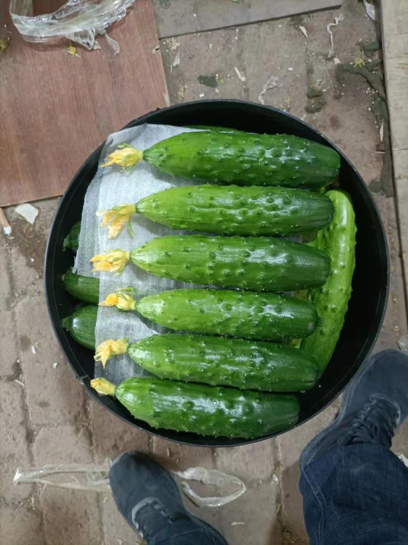 3毛钱