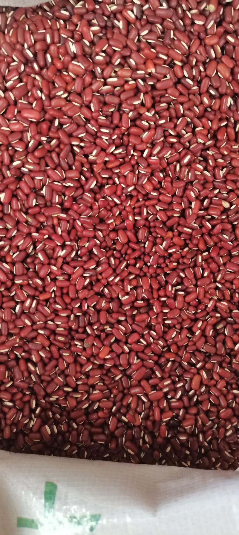 赤小豆大粒巴西赤小豆小粒赤小豆烘培及各种食品加工