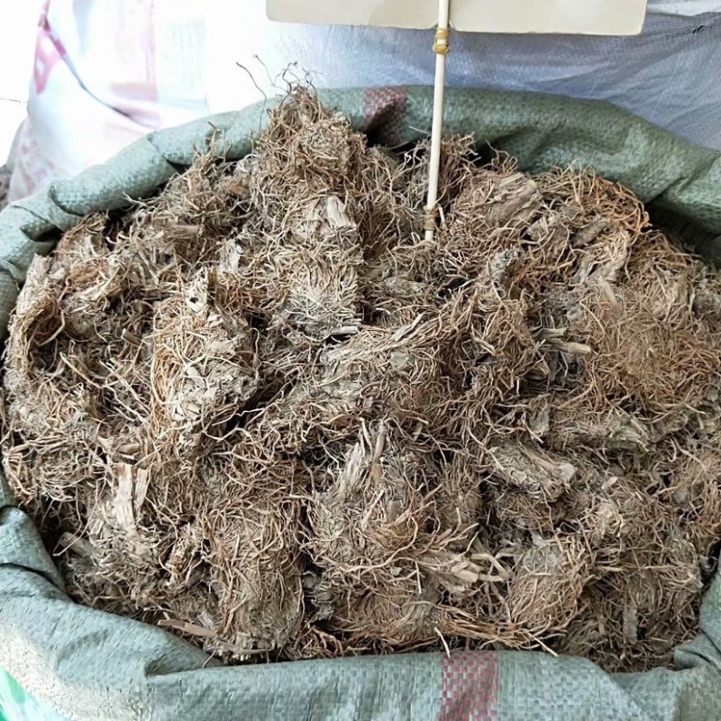 中药材糯稻根货品质量保证批发各种中药材