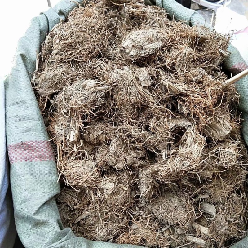 中药材糯稻根货品质量保证批发各种中药材