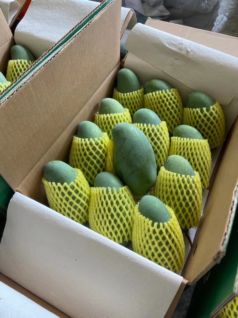金煌芒(一件代发)，芒果中的巨无霸，纯甜，果肉嫩滑无纤维