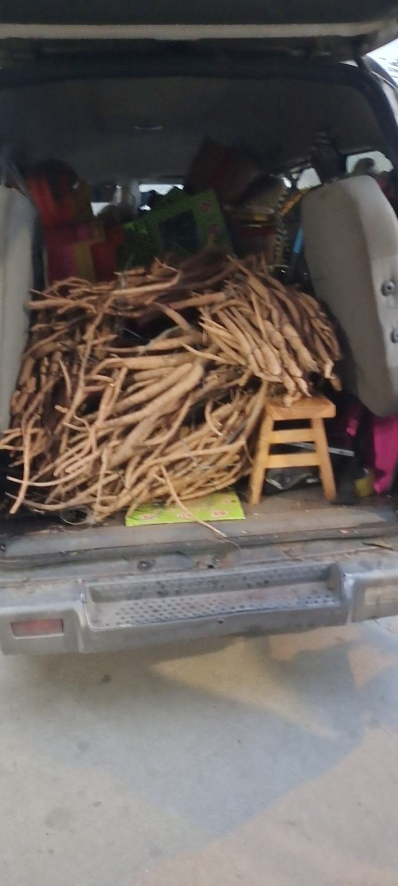 新鲜中药材