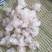 拉丝雪燕品质保障产地直销量大从优让您放心购买
