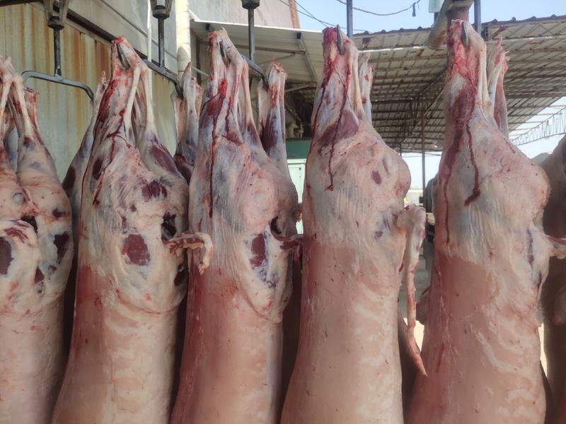 “黄河口”牌肉类产品价格合理，随市场价格，恭喜发财。