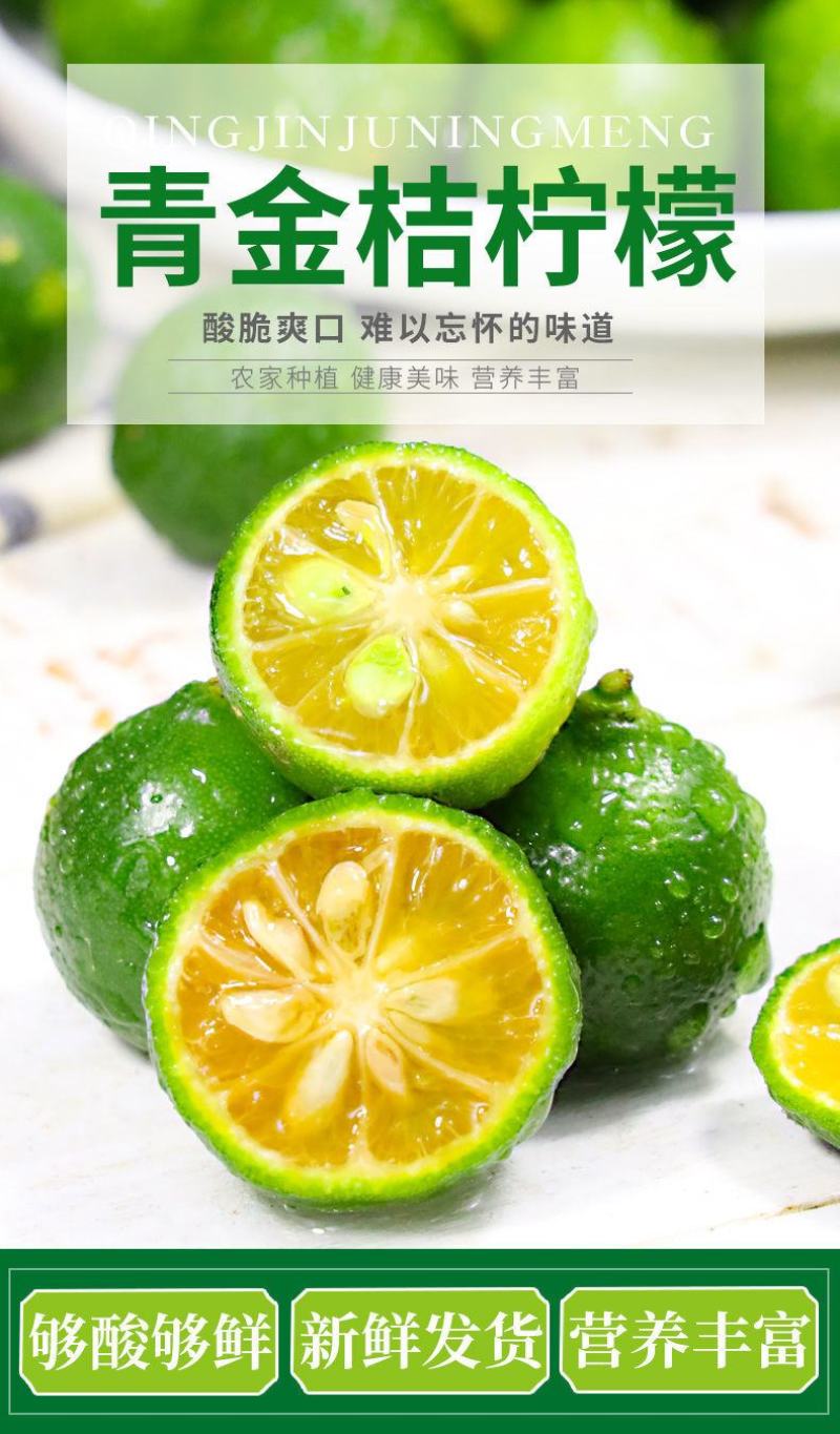一件代发海南小金桔1斤3斤5斤包邮黄肉多汁金桔柠檬