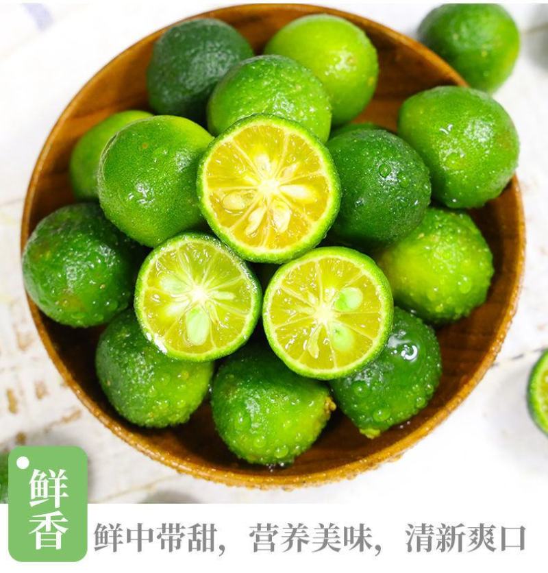 一件代发海南小金桔1斤3斤5斤包邮黄肉多汁金桔柠檬