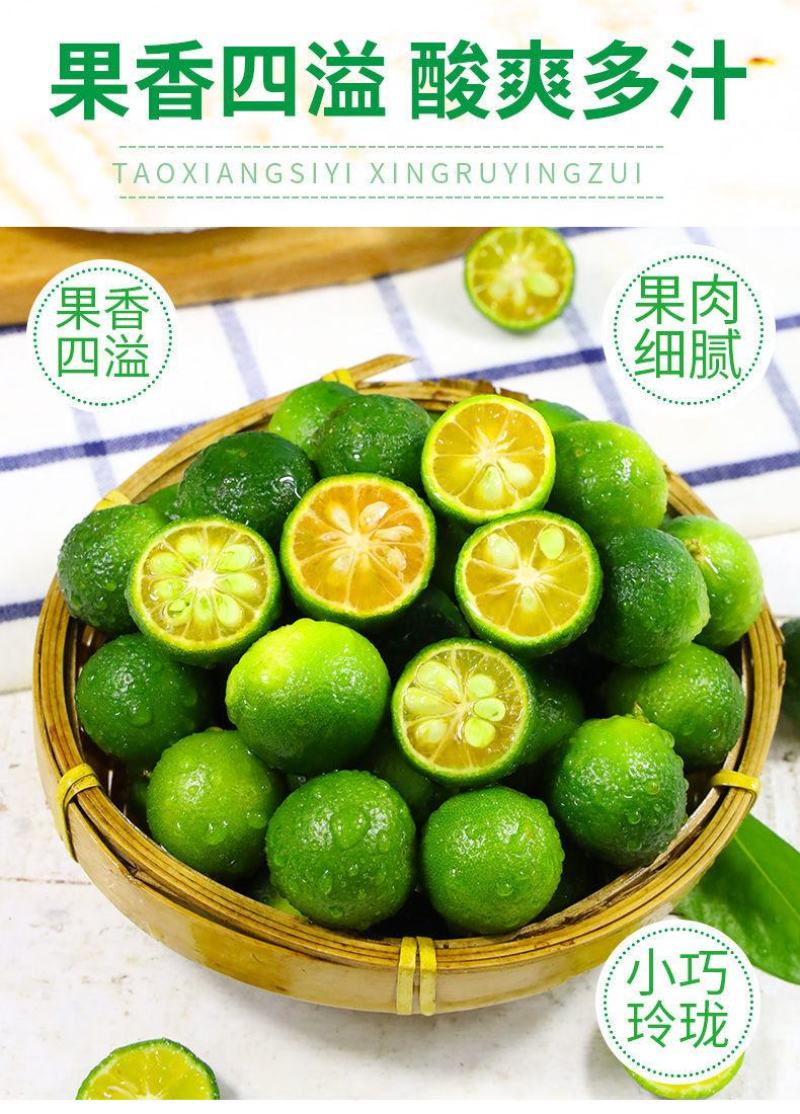 一件代发海南小金桔1斤3斤5斤包邮黄肉多汁金桔柠檬