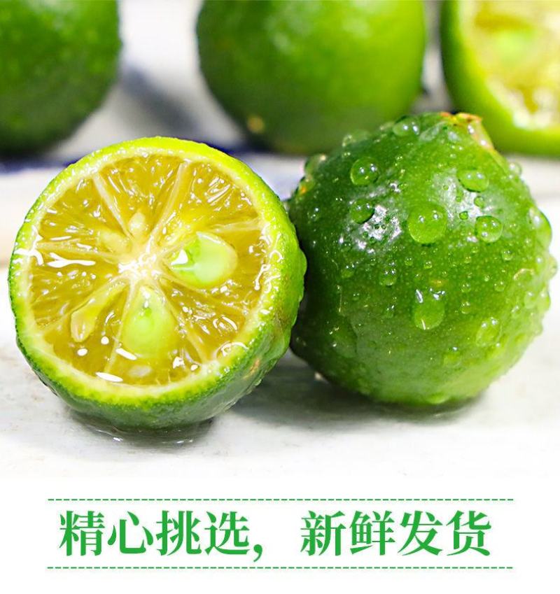 一件代发海南小金桔1斤3斤5斤包邮黄肉多汁金桔柠檬
