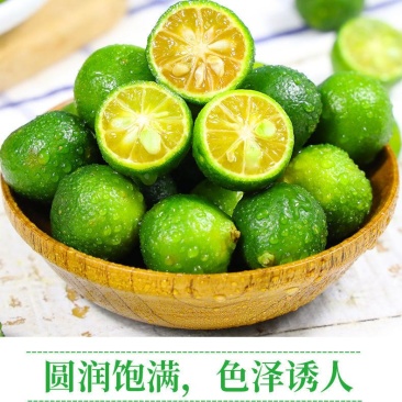 一件代发海南小金桔1斤3斤5斤包邮黄肉多汁金桔柠檬
