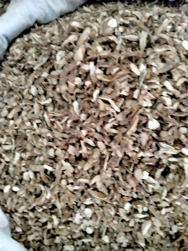 石菖蒲！石菖蒲产地大货直销规格齐全，品质好，价格优