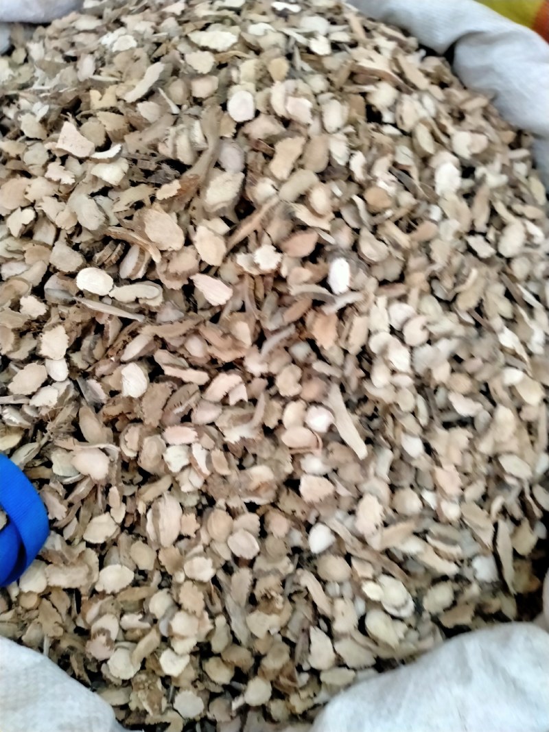 石菖蒲！石菖蒲产地大货直销规格齐全，品质好，价格优