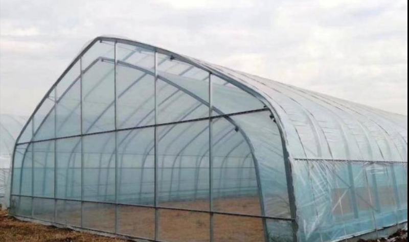 蔬菜大棚大棚温室骨架大棚骨架使用寿命长不易生锈