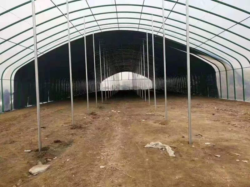 蔬菜大棚大棚温室骨架大棚骨架使用寿命长不易生锈