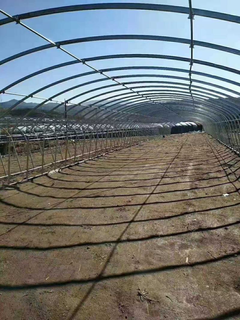 蔬菜大棚大棚温室骨架大棚骨架使用寿命长不易生锈