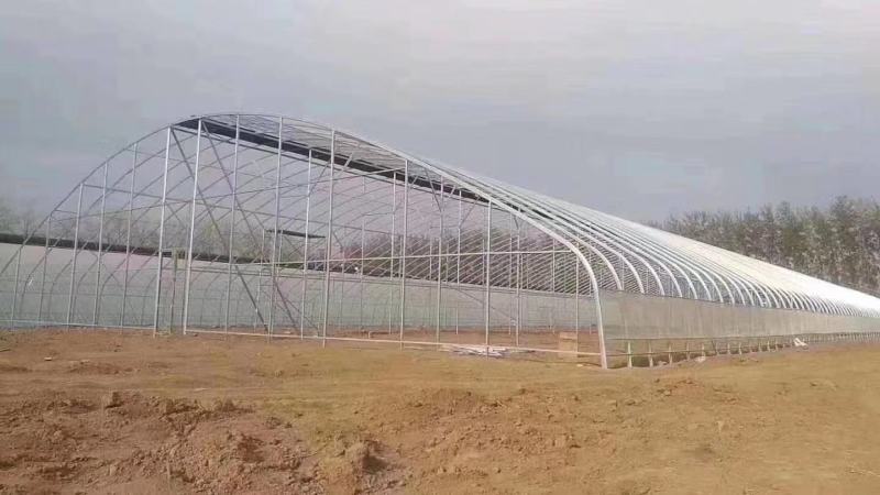 蔬菜大棚大棚温室骨架大棚骨架使用寿命长不易生锈