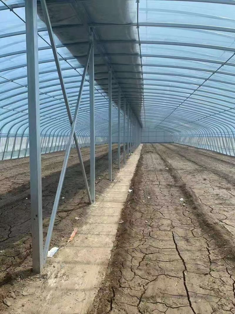 蔬菜大棚大棚温室骨架大棚骨架使用寿命长不易生锈