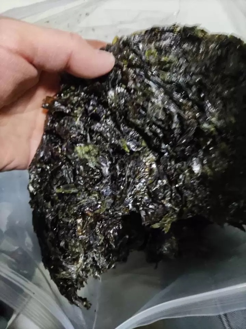 大量批发新货紫菜65元一斤