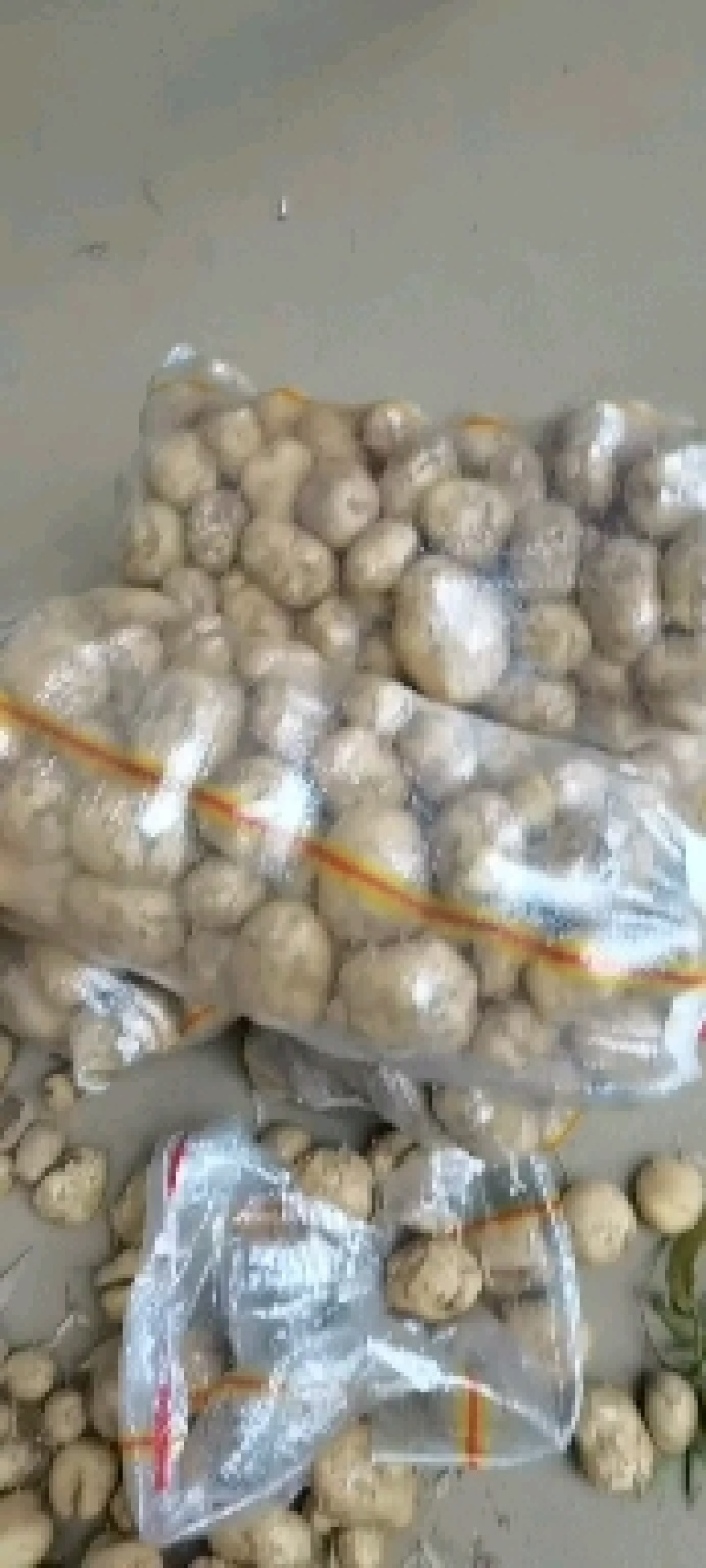中暑5河南15产地直发