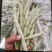芸豆大量上市，欢迎各位老板前来收购。
