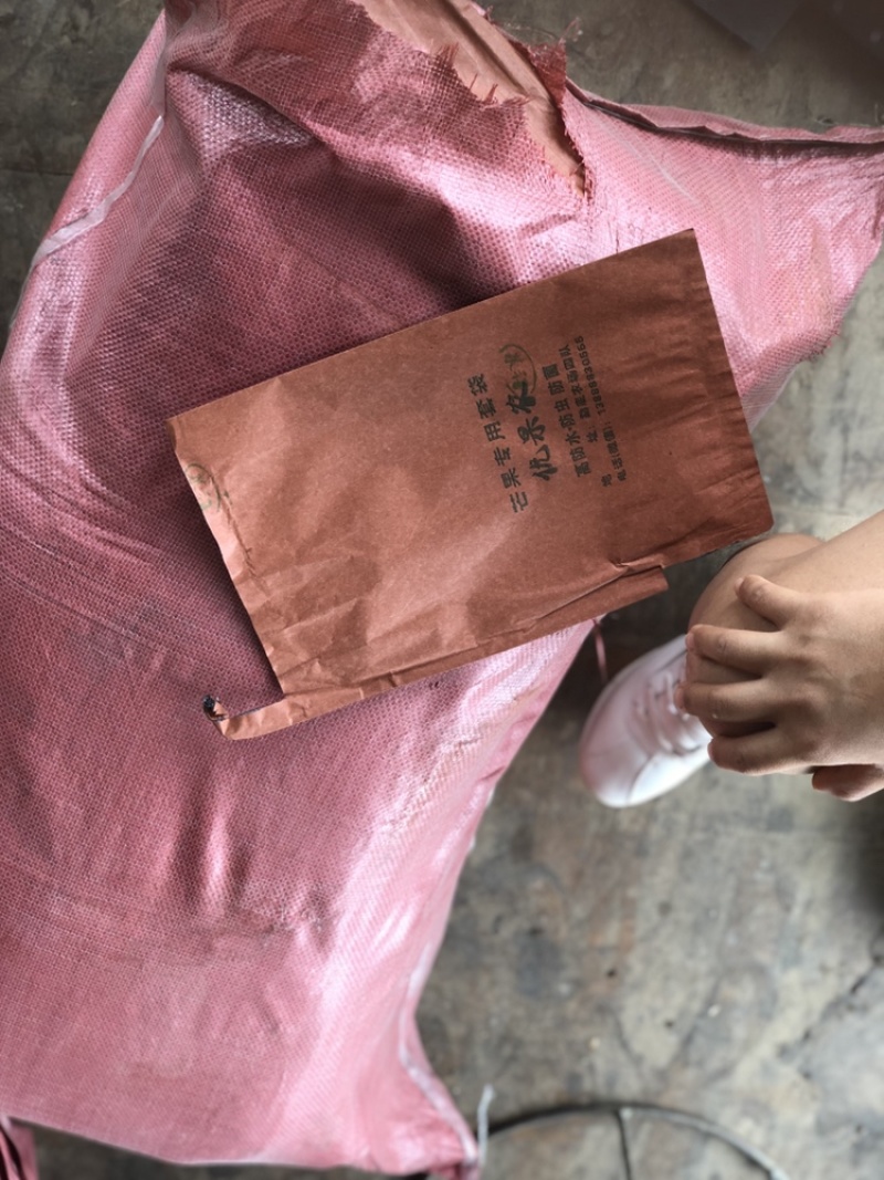 芒果专用套袋三层育果袋防虫防雨防菌果袋