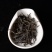 2021年春茶易武弯弓早春古树散茶云南普洱茶生茶散装