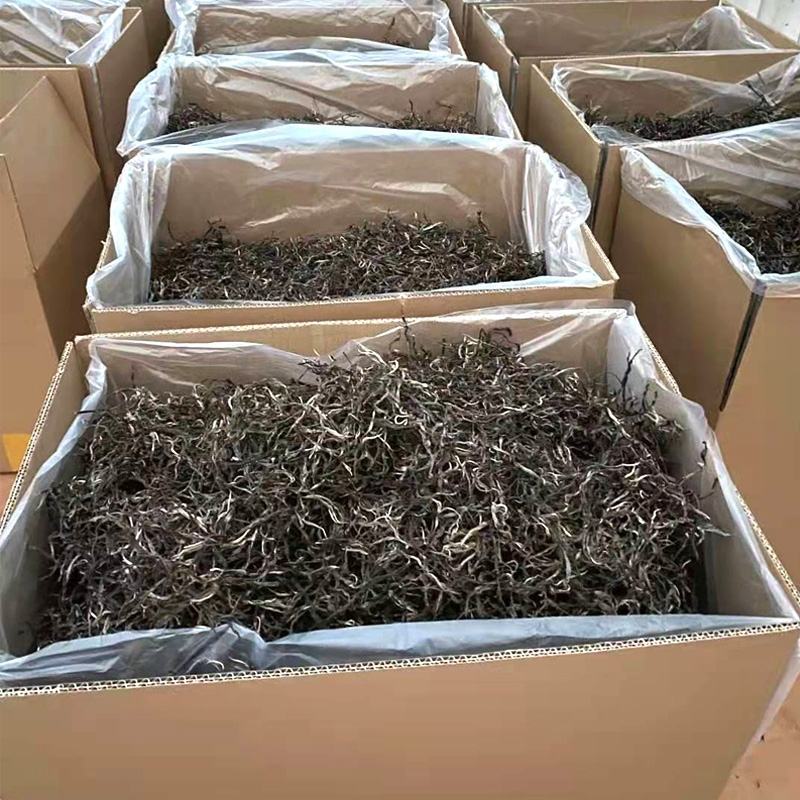 2021年春茶易武弯弓早春古树散茶云南普洱茶生茶散装