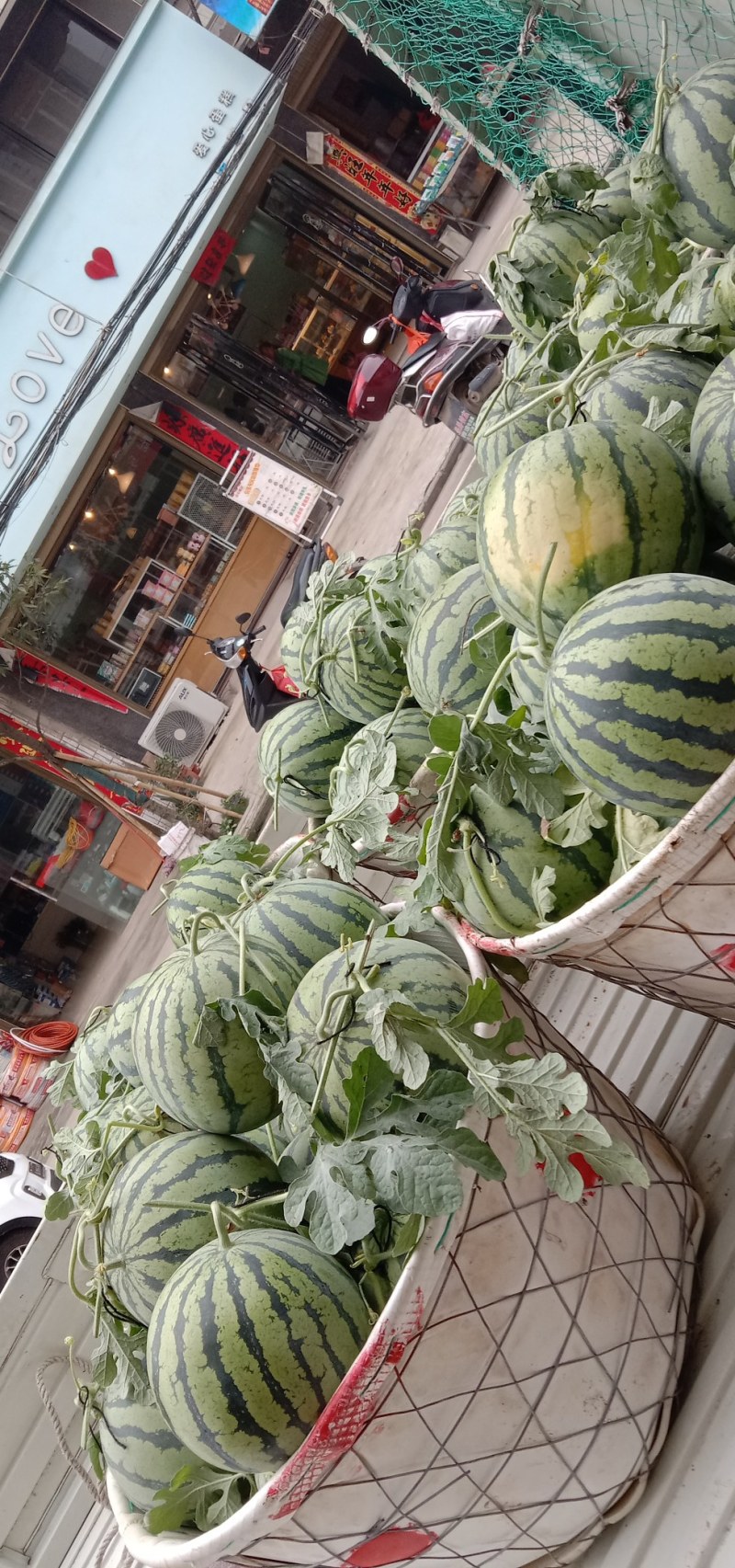 美都西瓜