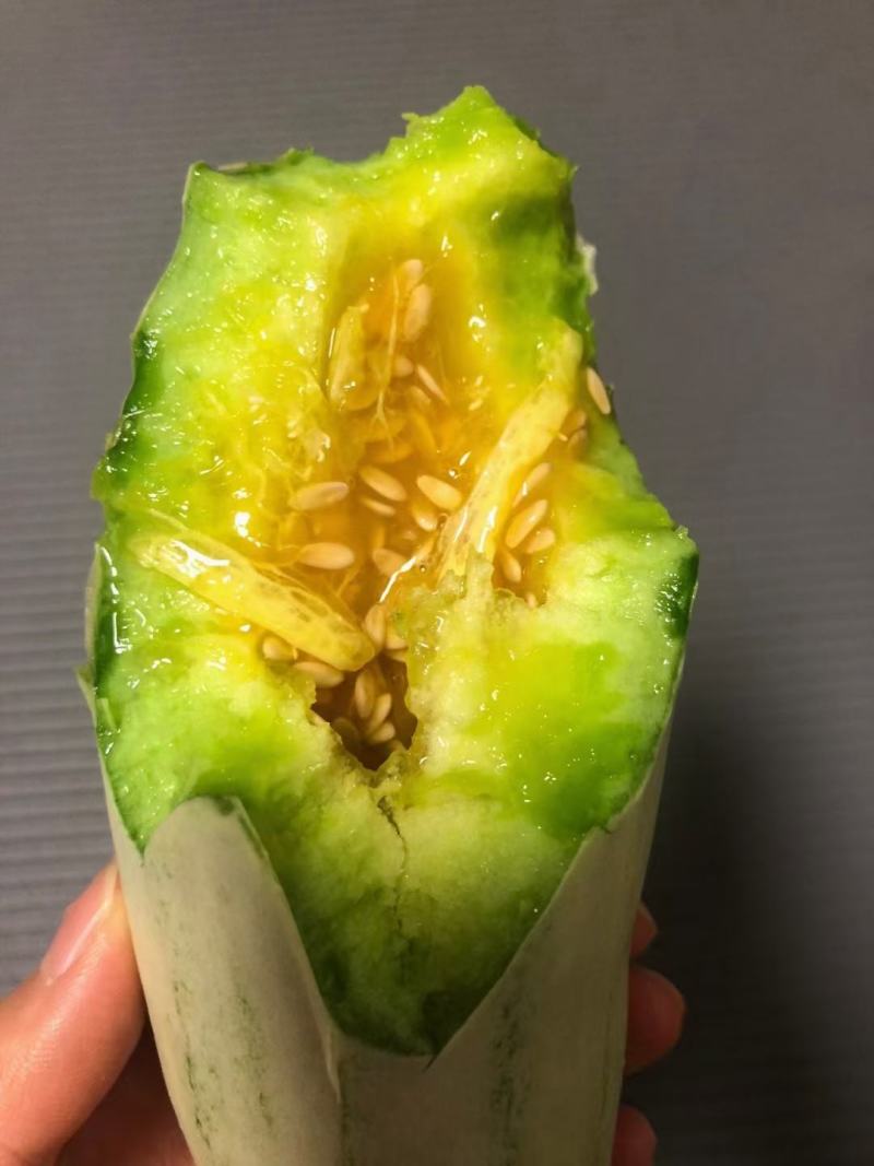 星甜20甜瓜，沙地精品甜瓜